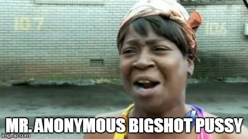 MR. ANONYMOUS BIGSHOT PUSSY | image tagged in memes,aint nobody got time for that | made w/ Imgflip meme maker