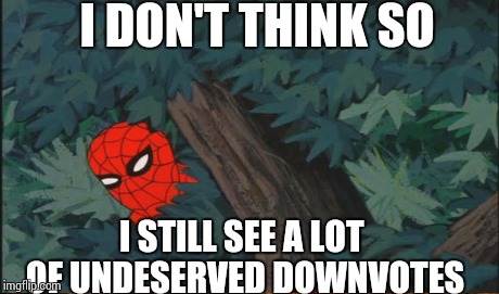 I DON'T THINK SO I STILL SEE A LOT OF UNDESERVED DOWNVOTES | made w/ Imgflip meme maker