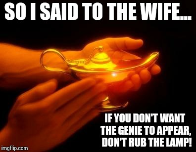 Don't rub the lamp! | SO I SAID TO THE WIFE... IF YOU DON'T WANT THE GENIE TO APPEAR,  DON'T RUB THE LAMP! | image tagged in genie,lamp | made w/ Imgflip meme maker