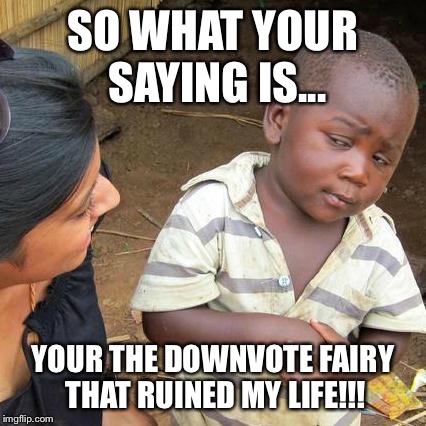 Third World Skeptical Kid Meme | SO WHAT YOUR SAYING IS... YOUR THE DOWNVOTE FAIRY THAT RUINED MY LIFE!!! | image tagged in memes,third world skeptical kid | made w/ Imgflip meme maker