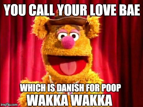 Fozzie Bear Joke | YOU CALL YOUR LOVE BAE WHICH IS DANISH FOR POOP WAKKA WAKKA | image tagged in fozzie bear joke | made w/ Imgflip meme maker