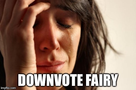 First World Problems | DOWNVOTE FAIRY | image tagged in memes,first world problems | made w/ Imgflip meme maker