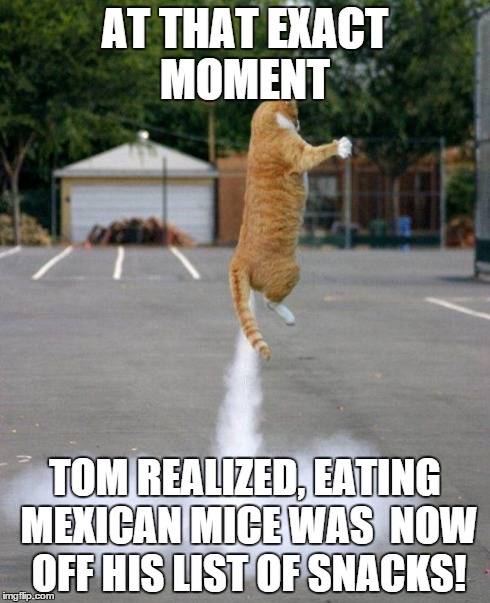 Rocket cat | AT THAT EXACT MOMENT TOM REALIZED, EATING MEXICAN MICE WAS  NOW OFF HIS LIST OF SNACKS! | image tagged in rocket cat | made w/ Imgflip meme maker