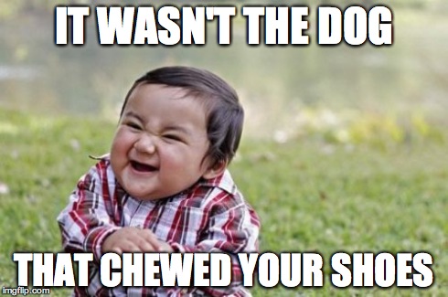 Evil Toddler | IT WASN'T THE DOG THAT CHEWED YOUR SHOES | image tagged in memes,evil toddler | made w/ Imgflip meme maker