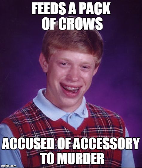 Bad Luck Brian Meme | FEEDS A PACK OF CROWS ACCUSED OF ACCESSORY TO MURDER | image tagged in memes,bad luck brian | made w/ Imgflip meme maker