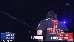 NESHAHE | image tagged in gifs | made w/ Imgflip video-to-gif maker