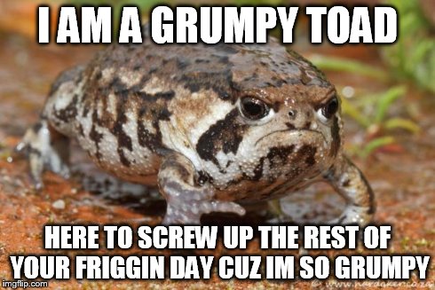 Grumpy Toad Meme | I AM A GRUMPY TOAD HERE TO SCREW UP THE REST OF YOUR FRIGGIN DAY CUZ IM SO GRUMPY | image tagged in memes,grumpy toad | made w/ Imgflip meme maker