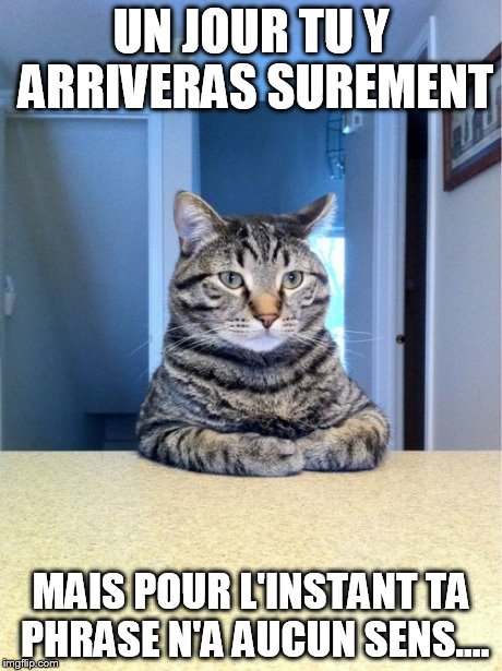 Take A Seat Cat Meme | UN JOUR TU Y ARRIVERAS SUREMENT MAIS POUR L'INSTANT TA PHRASE N'A AUCUN SENS.... | image tagged in memes,take a seat cat | made w/ Imgflip meme maker