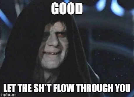 palpatine | GOOD LET THE SH*T FLOW THROUGH YOU | image tagged in palpatine | made w/ Imgflip meme maker