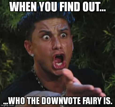 I know,  OK, this is my last down-vote fairy meme | WHEN YOU FIND OUT... ...WHO THE DOWNVOTE FAIRY IS. | image tagged in memes,dj pauly d,downvote fairy | made w/ Imgflip meme maker