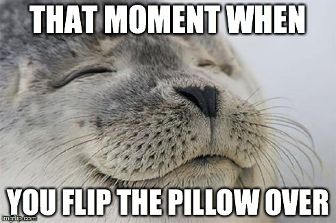 Satisfied Seal | THAT MOMENT WHEN YOU FLIP THE PILLOW OVER | image tagged in memes,satisfied seal | made w/ Imgflip meme maker