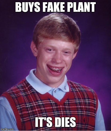 Bad luck Brian | BUYS FAKE PLANT IT'S DIES | image tagged in memes,bad luck brian,funny memes,funny,oblivious hot girl | made w/ Imgflip meme maker