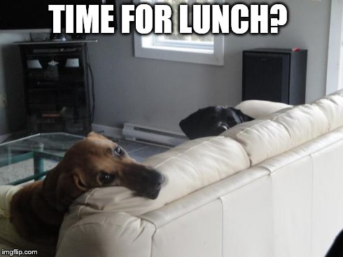 TIME FOR LUNCH? | image tagged in lunch | made w/ Imgflip meme maker