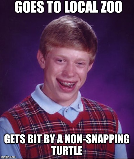 Bad Luck Brian | GOES TO LOCAL ZOO GETS BIT BY A NON-SNAPPING TURTLE | image tagged in memes,bad luck brian | made w/ Imgflip meme maker