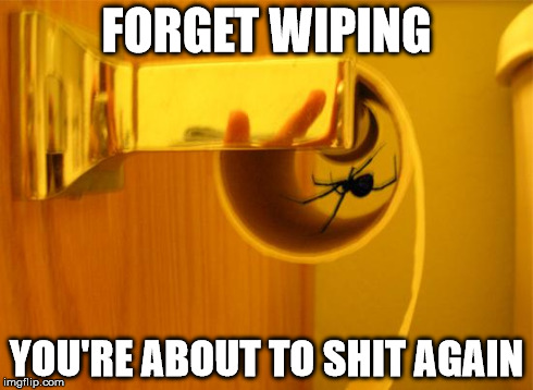 This bathroom will self-destruct in 3...2...1 | FORGET WIPING YOU'RE ABOUT TO SHIT AGAIN | image tagged in spiders suck | made w/ Imgflip meme maker