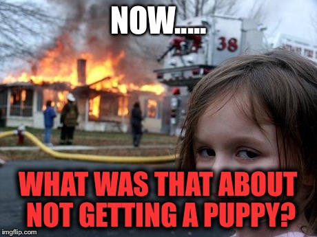 Disaster Girl | NOW..... WHAT WAS THAT ABOUT NOT GETTING A PUPPY? | image tagged in memes,disaster girl | made w/ Imgflip meme maker