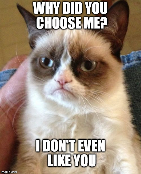 Grumpy Cat Meme | WHY DID YOU CHOOSE ME? I DON'T EVEN LIKE YOU | image tagged in memes,grumpy cat | made w/ Imgflip meme maker