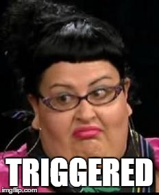 TRIGGERED | image tagged in fatactivist | made w/ Imgflip meme maker