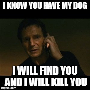 The plot to Taken 4 | I KNOW YOU HAVE MY DOG I WILL FIND YOU AND I WILL KILL YOU | image tagged in memes,liam neeson taken | made w/ Imgflip meme maker