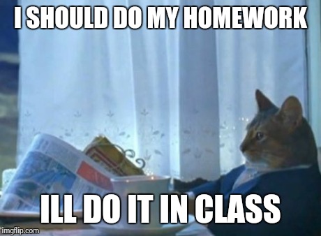 I Should Buy A Boat Cat | I SHOULD DO MY HOMEWORK ILL DO IT IN CLASS | image tagged in memes,i should buy a boat cat | made w/ Imgflip meme maker