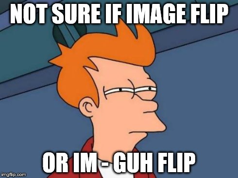 Futurama Fry Meme | NOT SURE IF IMAGE FLIP OR IM - GUH FLIP | image tagged in memes,futurama fry | made w/ Imgflip meme maker