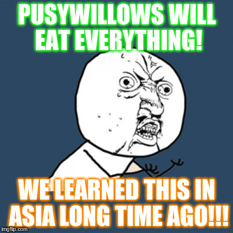 pussywillows eat people and men | PUSYWILLOWS WILL EAT EVERYTHING! WE LEARNED THIS IN ASIA LONG TIME AGO!!! | image tagged in memes,y u no | made w/ Imgflip meme maker
