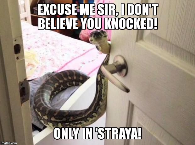 EXCUSE ME SIR, I DON'T BELIEVE YOU KNOCKED! ONLY IN 'STRAYA! | image tagged in australia | made w/ Imgflip meme maker