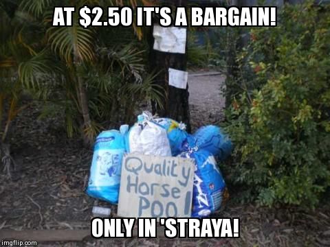 AT $2.50 IT'S A BARGAIN! ONLY IN 'STRAYA! | image tagged in poop,horse,australia | made w/ Imgflip meme maker