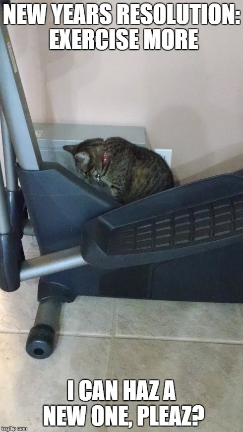 Sad exercise cat is sad - Imgflip