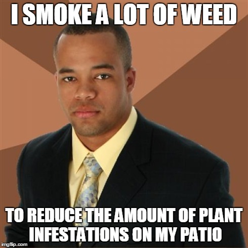 Successful Black Man | I SMOKE A LOT OF WEED TO REDUCE THE AMOUNT OF PLANT INFESTATIONS ON MY PATIO | image tagged in memes,successful black man | made w/ Imgflip meme maker