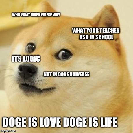 doge memes school