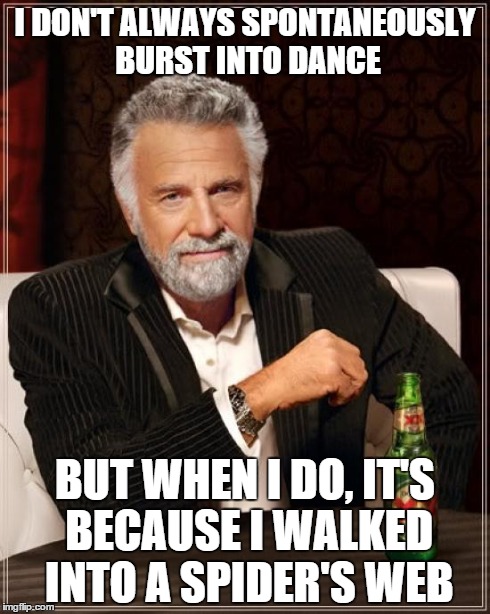 Spider Webs: The Best Dance Instructors | I DON'T ALWAYS SPONTANEOUSLY BURST INTO DANCE BUT WHEN I DO, IT'S BECAUSE I WALKED INTO A SPIDER'S WEB | image tagged in memes,the most interesting man in the world,funny,dance,spiderweb,lolz | made w/ Imgflip meme maker