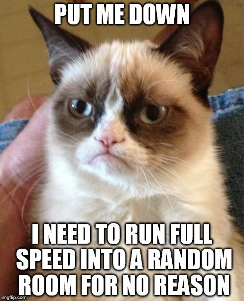 Grumpy Cat | PUT ME DOWN I NEED TO RUN FULL SPEED INTO A RANDOM ROOM FOR NO REASON | image tagged in memes,grumpy cat | made w/ Imgflip meme maker