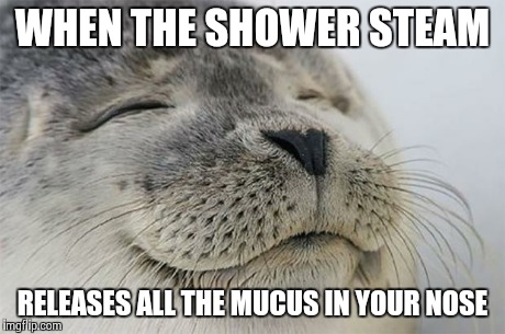 Satisfied Seal Meme | WHEN THE SHOWER STEAM RELEASES ALL THE MUCUS IN YOUR NOSE | image tagged in memes,satisfied seal,AdviceAnimals | made w/ Imgflip meme maker