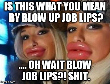 Duck Face Chicks | IS THIS WHAT YOU MEAN BY BLOW UP JOB LIPS? .... OH WAIT BLOW JOB LIPS?! SHIT. | image tagged in memes,duck face chicks | made w/ Imgflip meme maker