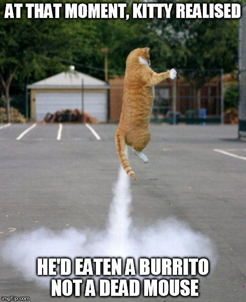 Rocket cat | AT THAT MOMENT, KITTY REALISED HE'D EATEN A BURRITO NOT A DEAD MOUSE | image tagged in rocket cat | made w/ Imgflip meme maker