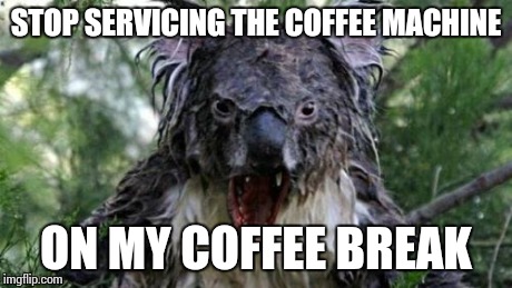 Angry Koala Meme | STOP SERVICING THE COFFEE MACHINE ON MY COFFEE BREAK | image tagged in memes,angry koala | made w/ Imgflip meme maker