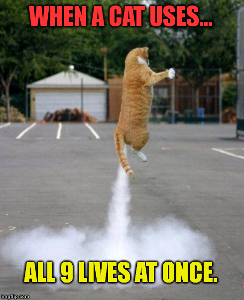 Rocket Cat Power-Up, Level 3 | WHEN A CAT USES... ALL 9 LIVES AT ONCE. | image tagged in rocket cat,video games,cats,power | made w/ Imgflip meme maker