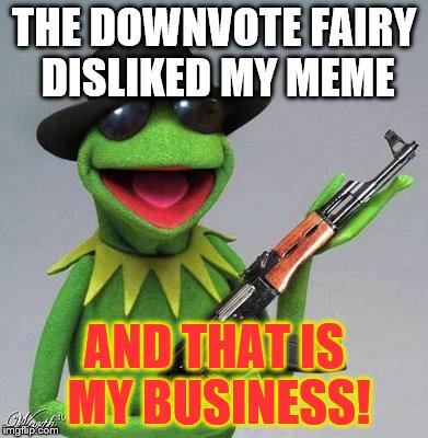kermit ak | THE DOWNVOTE FAIRY DISLIKED MY MEME AND THAT IS MY BUSINESS! | image tagged in kermit ak | made w/ Imgflip meme maker