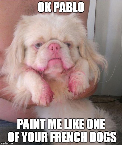 OK PABLO PAINT ME LIKE ONE OF YOUR FRENCH DOGS | image tagged in grumpy dog | made w/ Imgflip meme maker