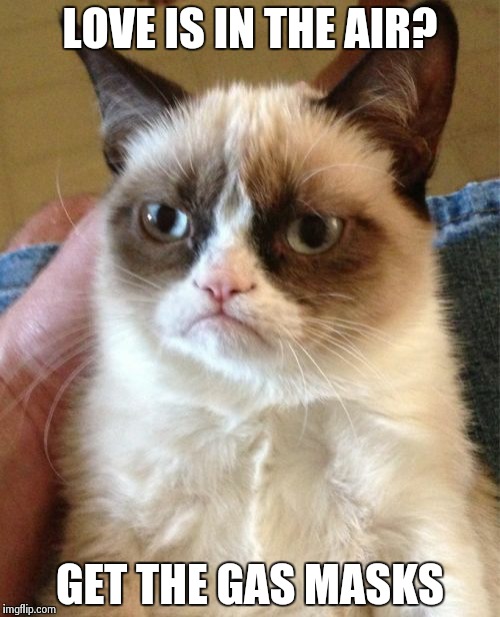 Grumpy Cat | LOVE IS IN THE AIR? GET THE GAS MASKS | image tagged in memes,grumpy cat | made w/ Imgflip meme maker