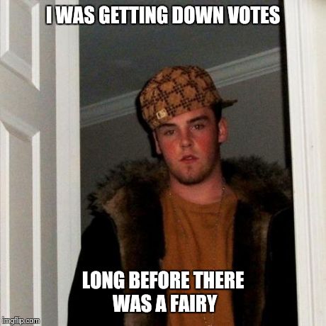 Scumbag Steve | I WAS GETTING DOWN VOTES LONG BEFORE THERE WAS A FAIRY | image tagged in memes,scumbag steve | made w/ Imgflip meme maker