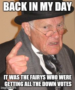 Back In My Day Meme | BACK IN MY DAY IT WAS THE FAIRYS WHO WERE GETTING ALL THE DOWN VOTES | image tagged in memes,back in my day | made w/ Imgflip meme maker