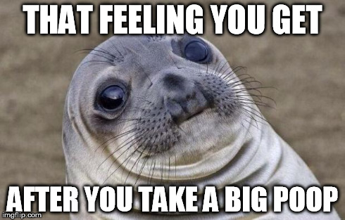 That feeling you get | THAT FEELING YOU GET AFTER YOU TAKE A BIG POOP | image tagged in memes,awkward moment sealion | made w/ Imgflip meme maker