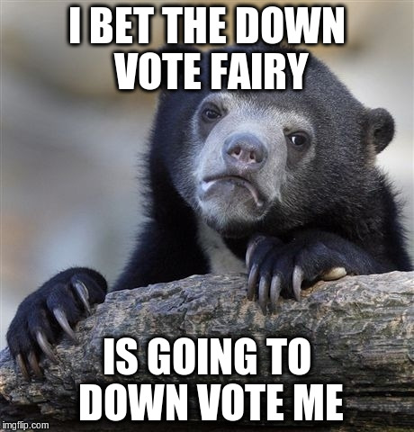 Confession Bear | I BET THE DOWN VOTE FAIRY IS GOING TO DOWN VOTE ME | image tagged in memes,confession bear | made w/ Imgflip meme maker