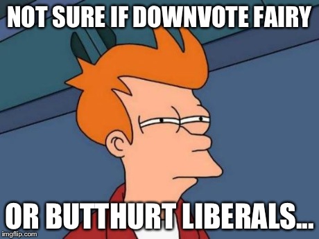 Seriously, who keeps downvoting my memes? | NOT SURE IF DOWNVOTE FAIRY OR BUTTHURT LIBERALS... | image tagged in memes,futurama fry | made w/ Imgflip meme maker