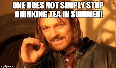 One Does Not Simply Meme | ONE DOES NOT SIMPLY STOP DRINKING TEA IN SUMMER! | image tagged in memes,one does not simply | made w/ Imgflip meme maker