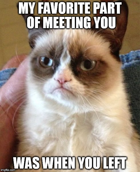 Grumpy Cat | MY FAVORITE PART OF MEETING YOU WAS WHEN YOU LEFT | image tagged in memes,grumpy cat | made w/ Imgflip meme maker