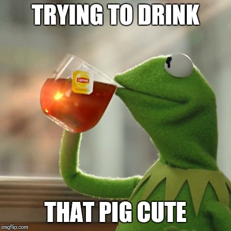 But That's None Of My Business Meme | TRYING TO DRINK THAT PIG CUTE | image tagged in memes,but thats none of my business,kermit the frog | made w/ Imgflip meme maker