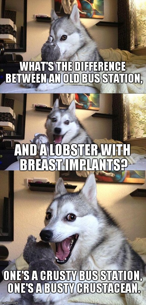 Bad Pun Dog Meme | WHAT'S THE DIFFERENCE BETWEEN AN OLD BUS STATION, AND A LOBSTER WITH BREAST IMPLANTS? ONE'S A CRUSTY BUS STATION, ONE'S A BUSTY CRUSTACEAN. | image tagged in memes,bad pun dog | made w/ Imgflip meme maker
